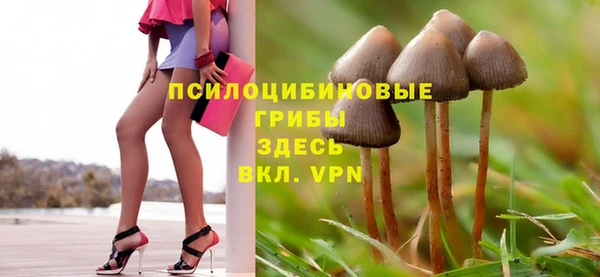 spice Горняк