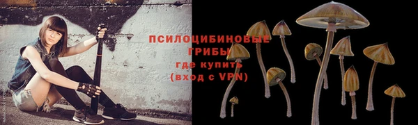ешки Горнозаводск