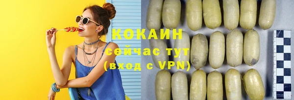 spice Горняк
