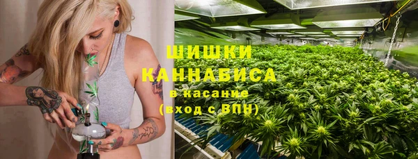 spice Горняк