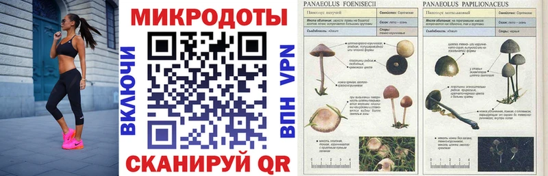 Купить закладки  Казань  Псилоцибиновые грибы ЛСД 