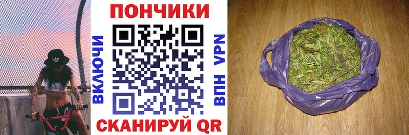 Бошки марихуана марихуана  Купить где  Казань 